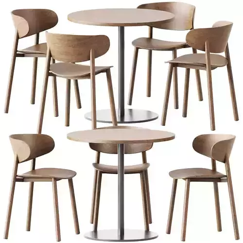 Table S 1123 D80 by Thonet and Chair Font by Wiesner-Hager