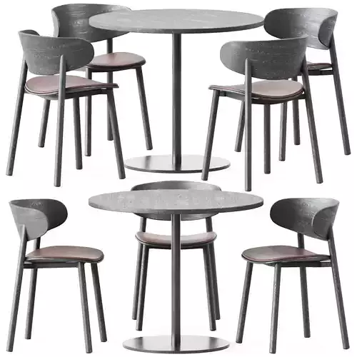 Table S 1123 D90 by Thonet and Font Chair Seat by Wiesner-Hager