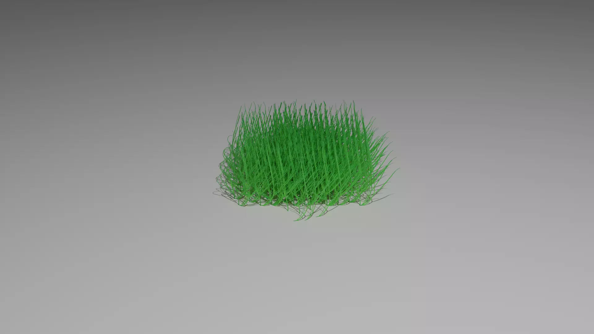 Bush grass  FREE  Free low-poly 3D model_0