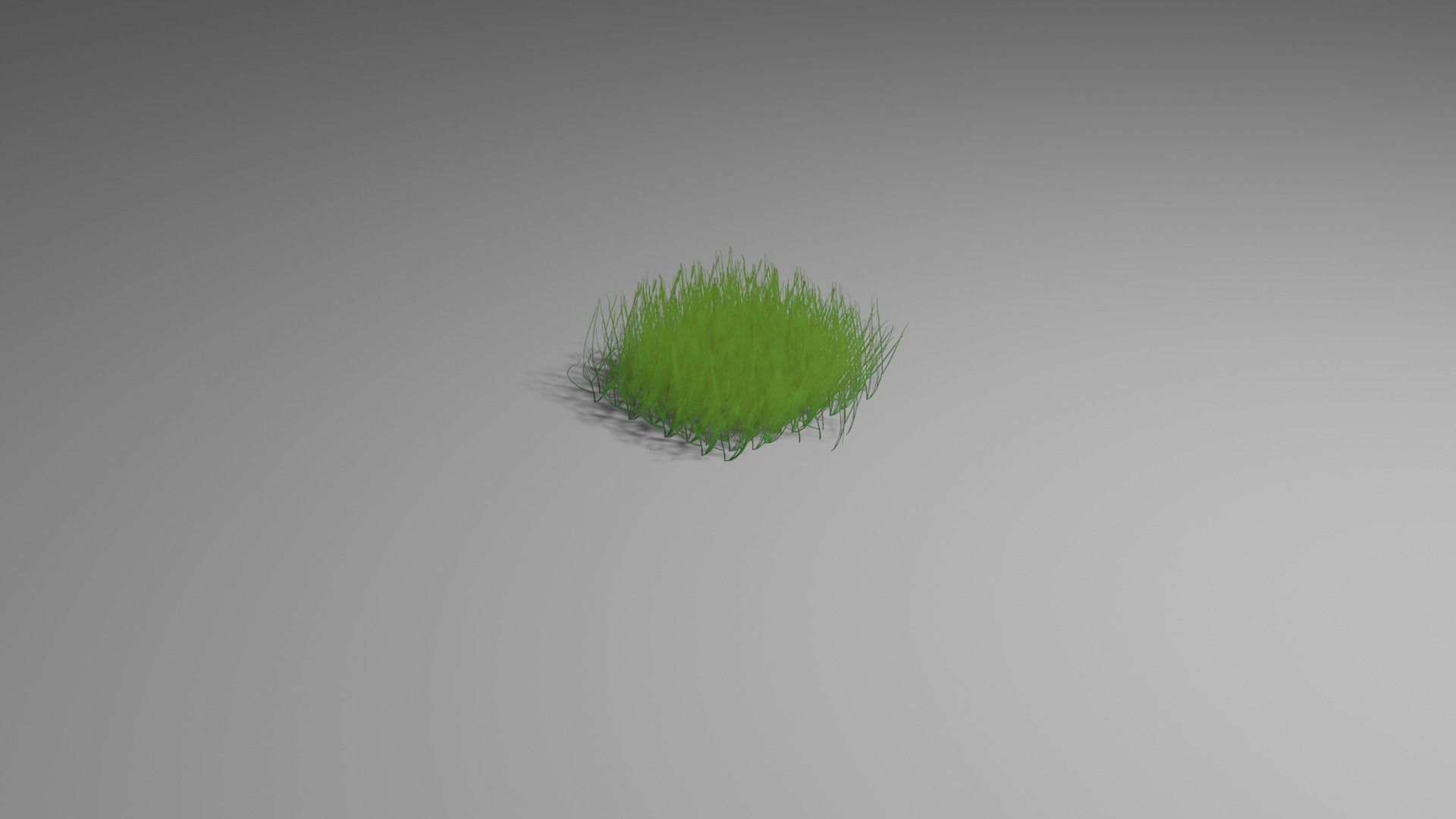 Bush grass  FREE  Free low-poly 3D model_4
