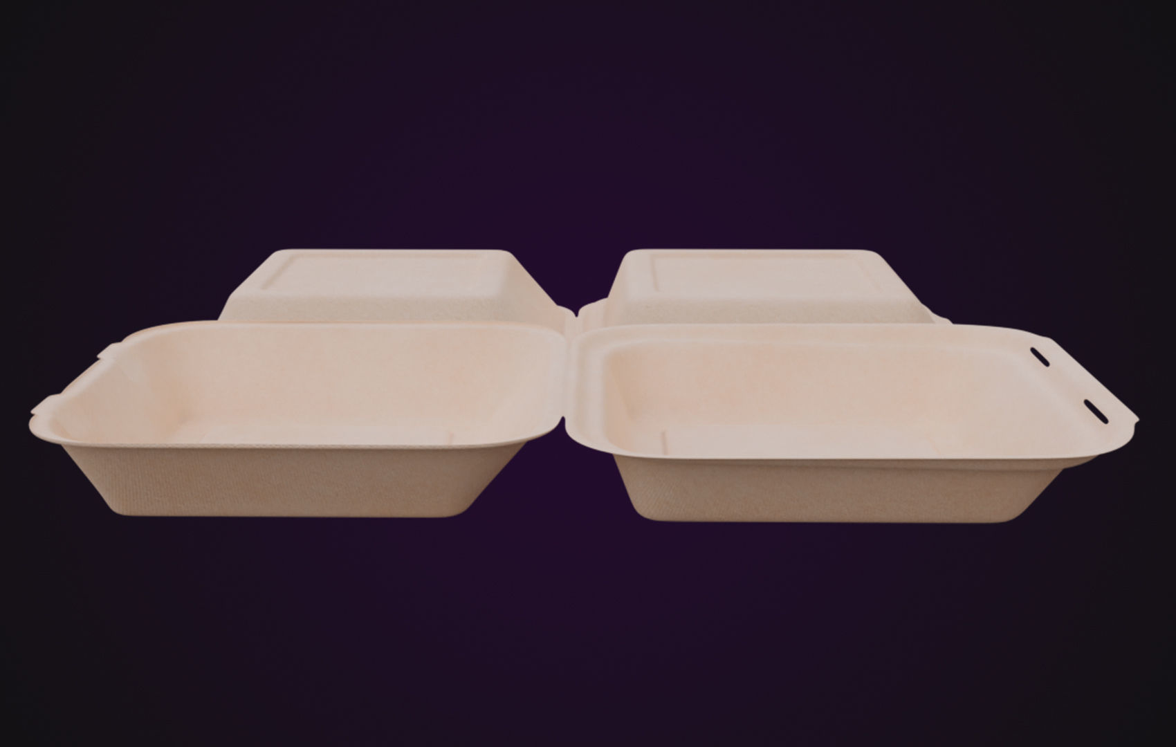 Cardboard paper - Disposable Container 3D model_5