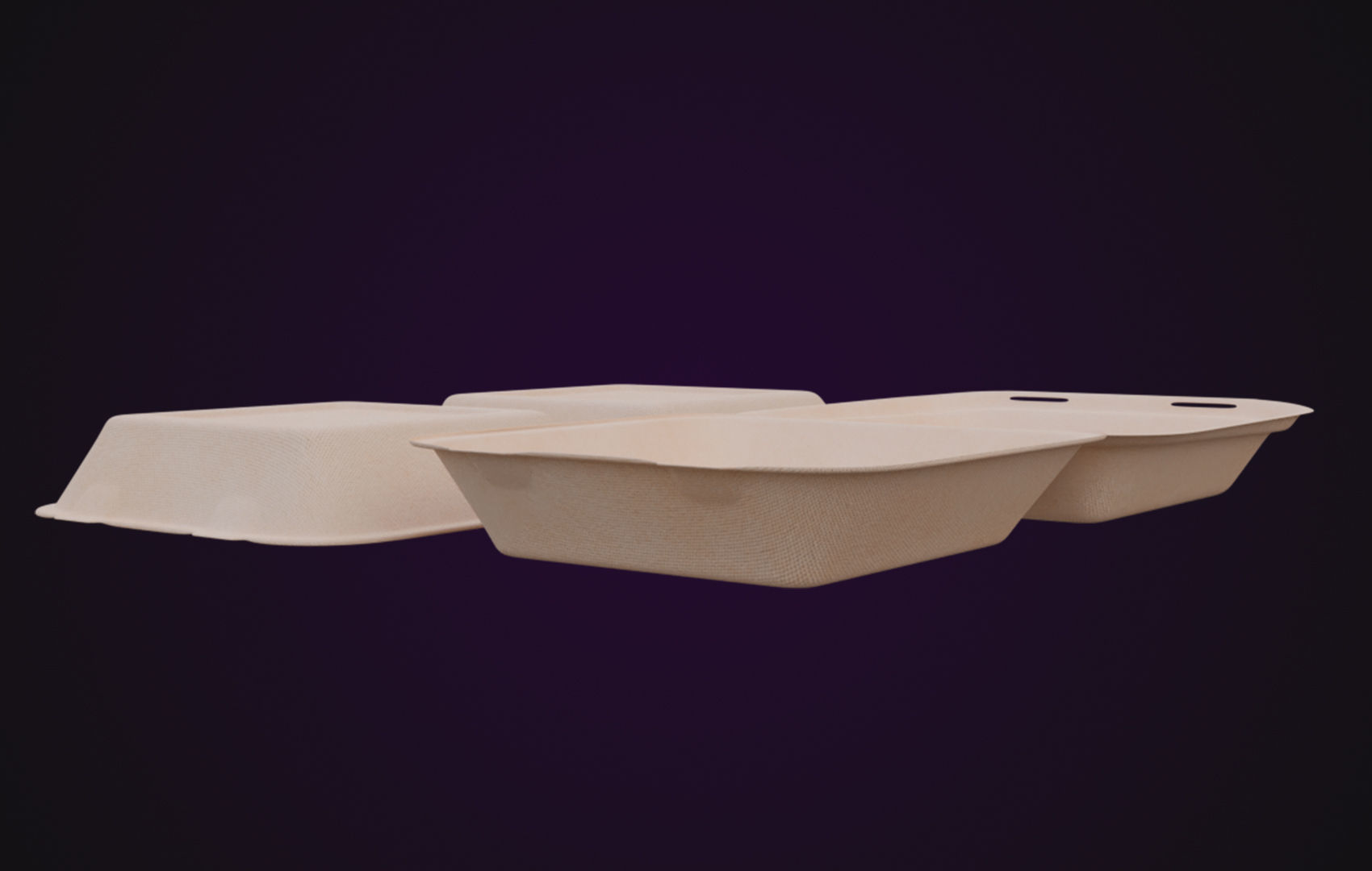 Cardboard paper - Disposable Container 3D model_11