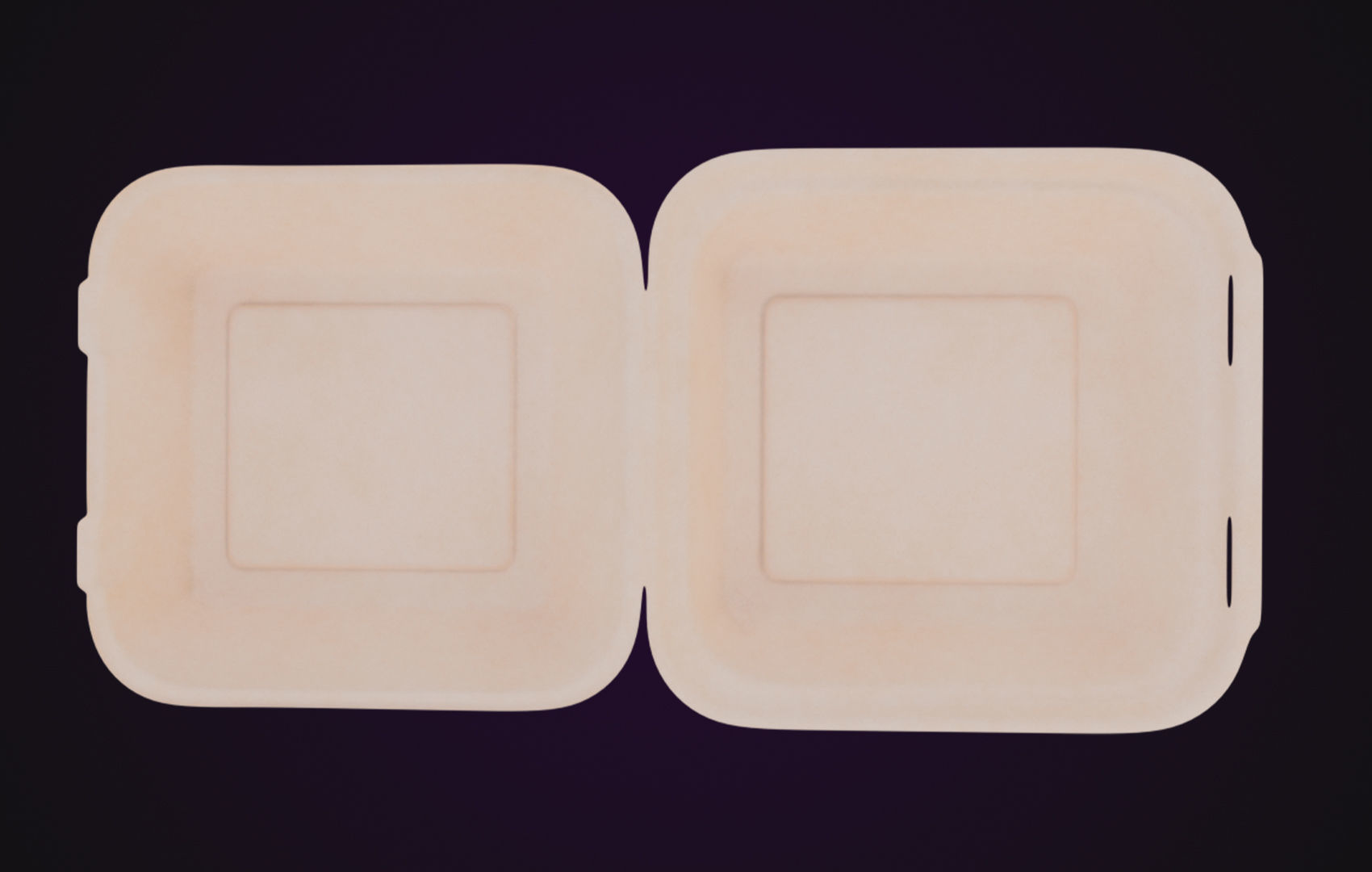 Cardboard paper - Disposable Container 3D model_1