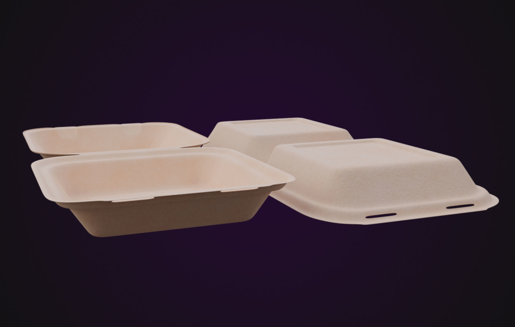 Cardboard paper - Disposable Container 3D model_6