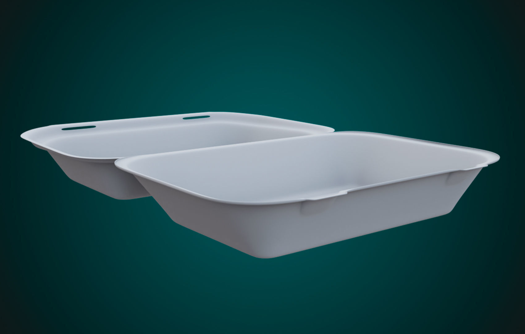 Large Cardboard paper - Disposable Container 3D model_29