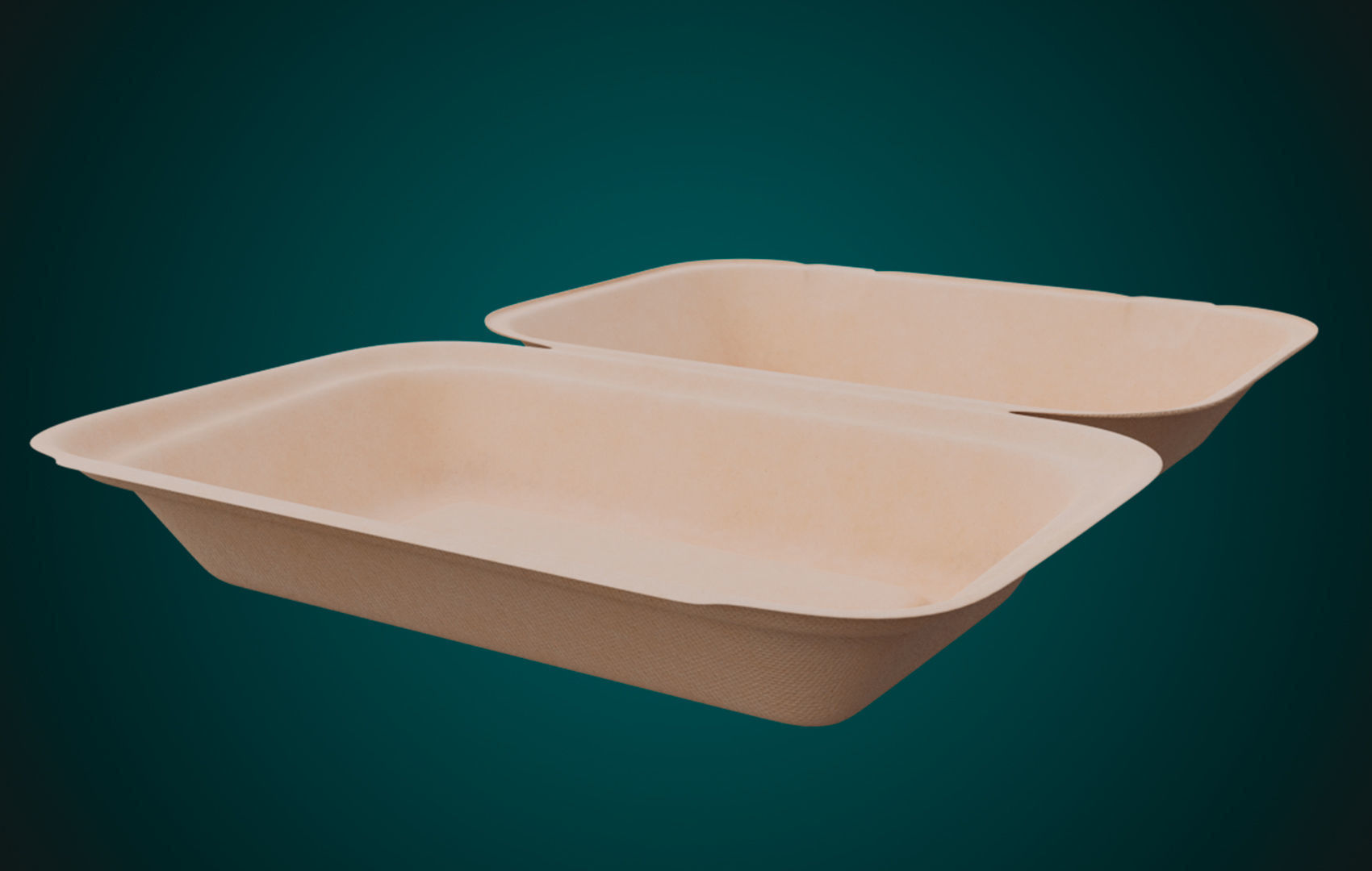 Large Cardboard paper - Disposable Container 3D model_5