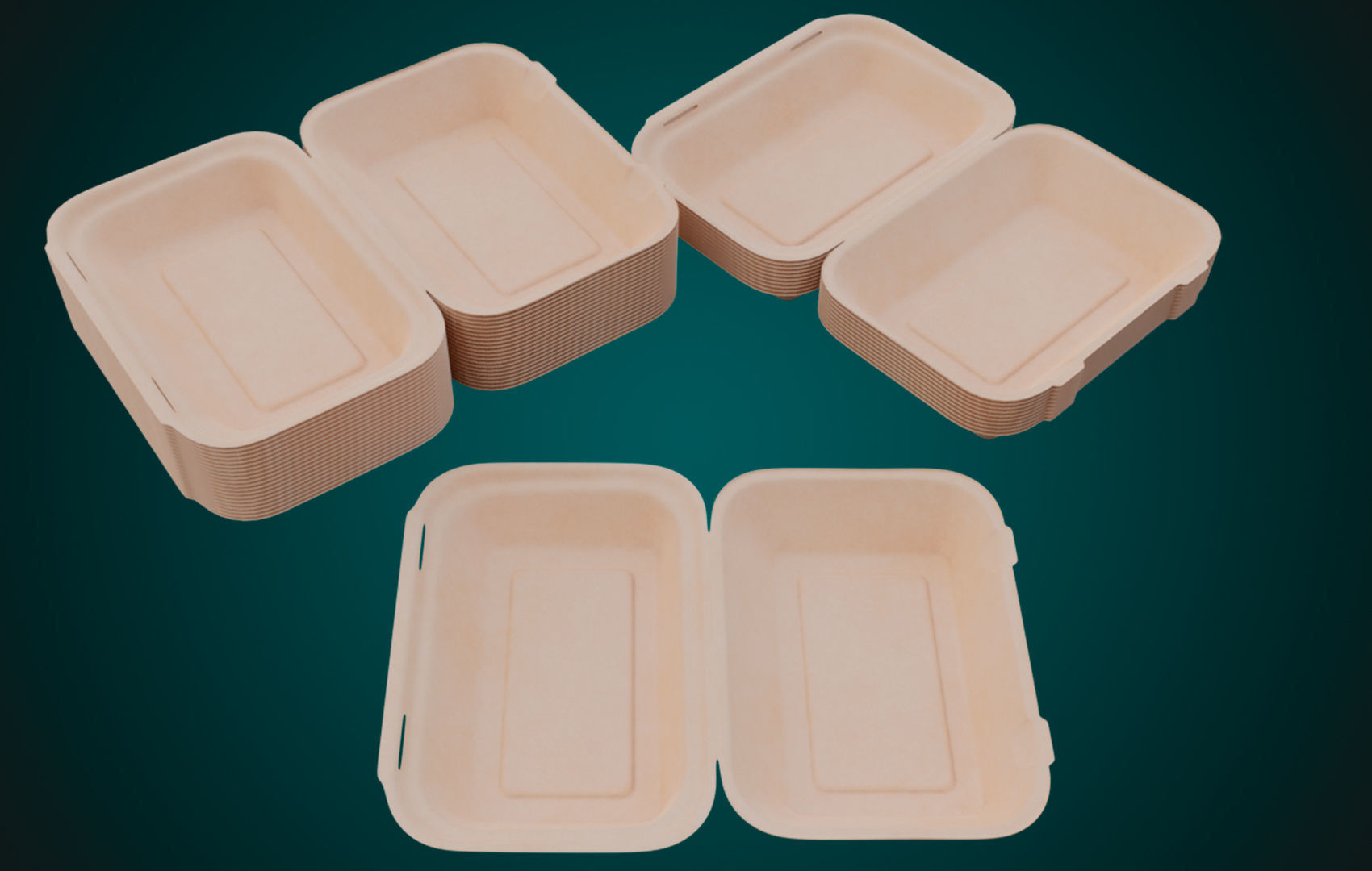 Large Cardboard paper - Disposable Container 3D model_2