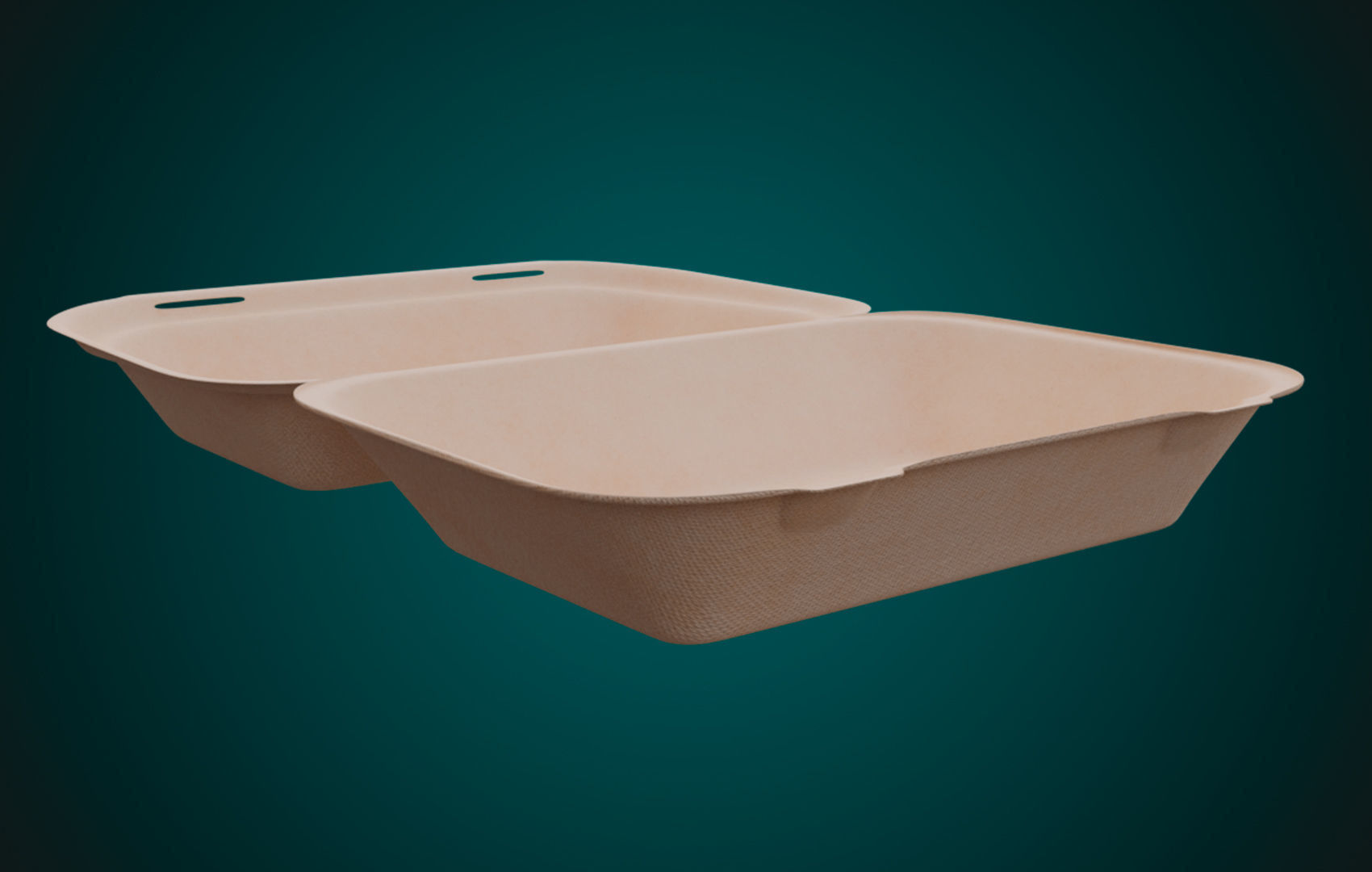 Large Cardboard paper - Disposable Container 3D model_3