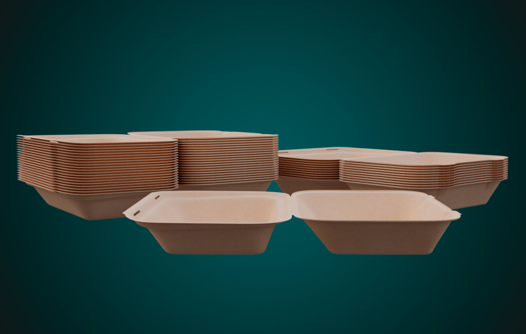 Large Cardboard paper - Disposable Container 3D model_16
