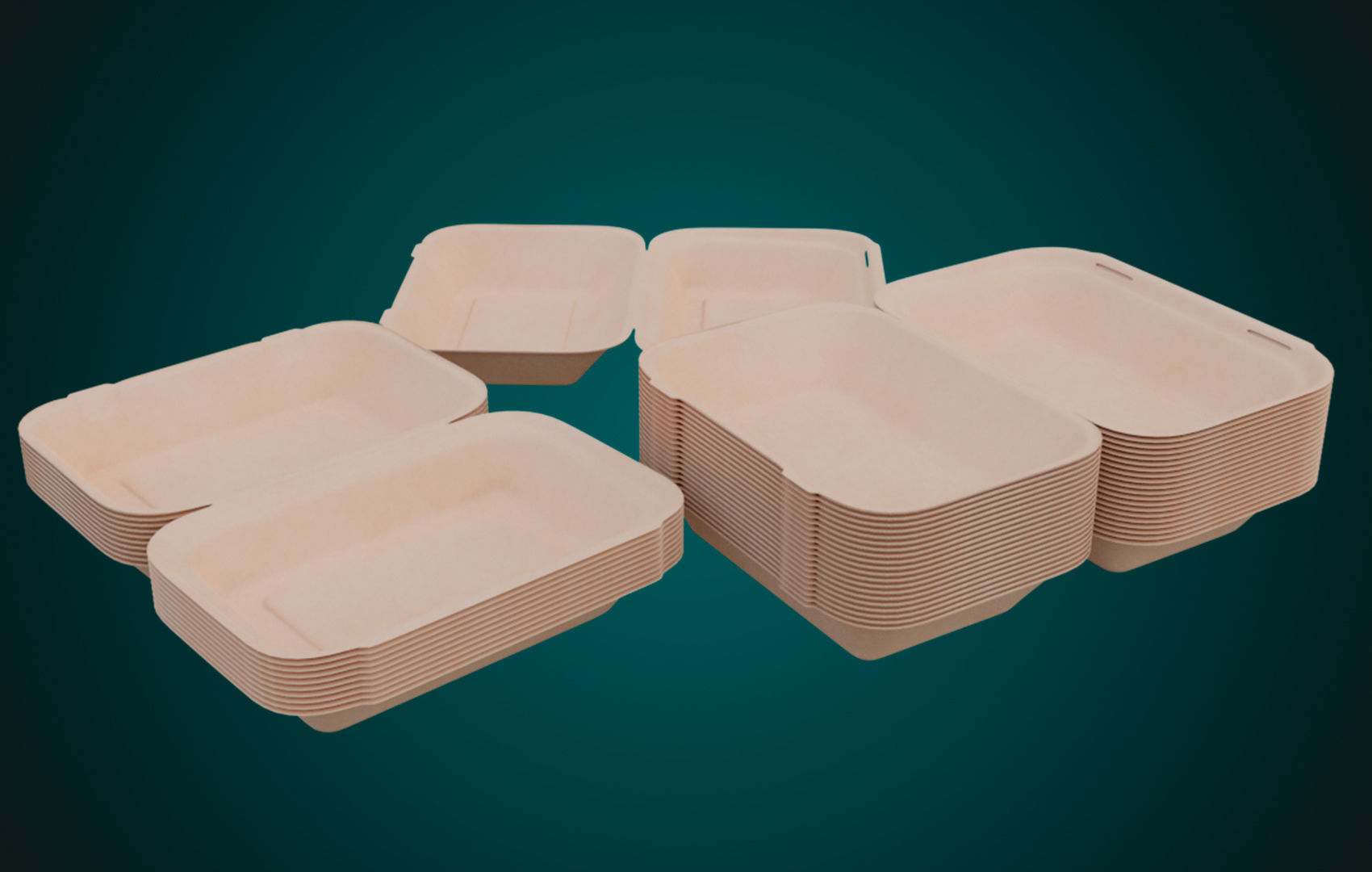 Large Cardboard paper - Disposable Container 3D model_4