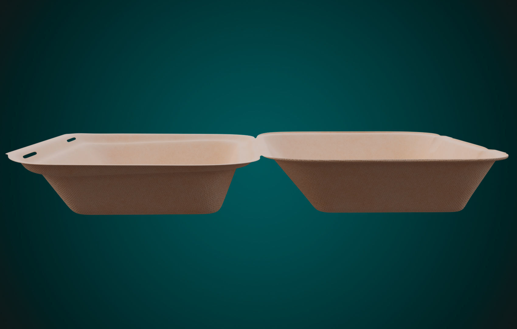 Large Cardboard paper - Disposable Container 3D model_19