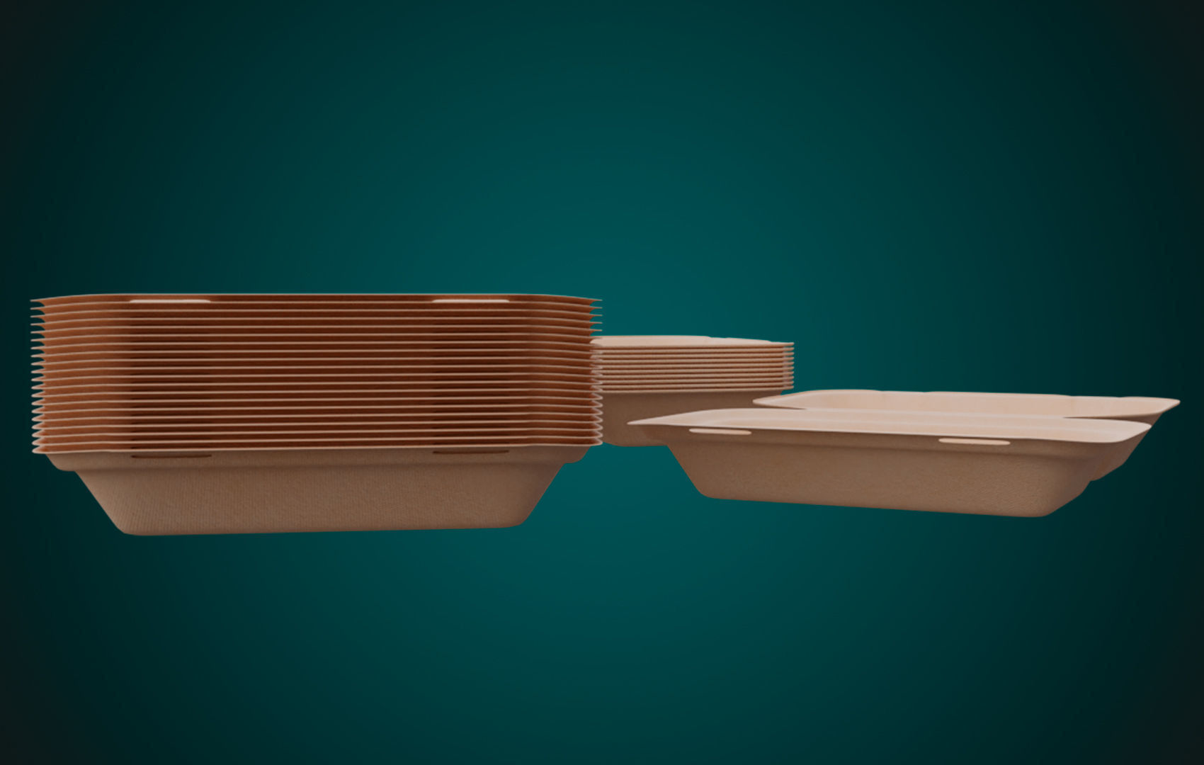 Large Cardboard paper - Disposable Container 3D model_12