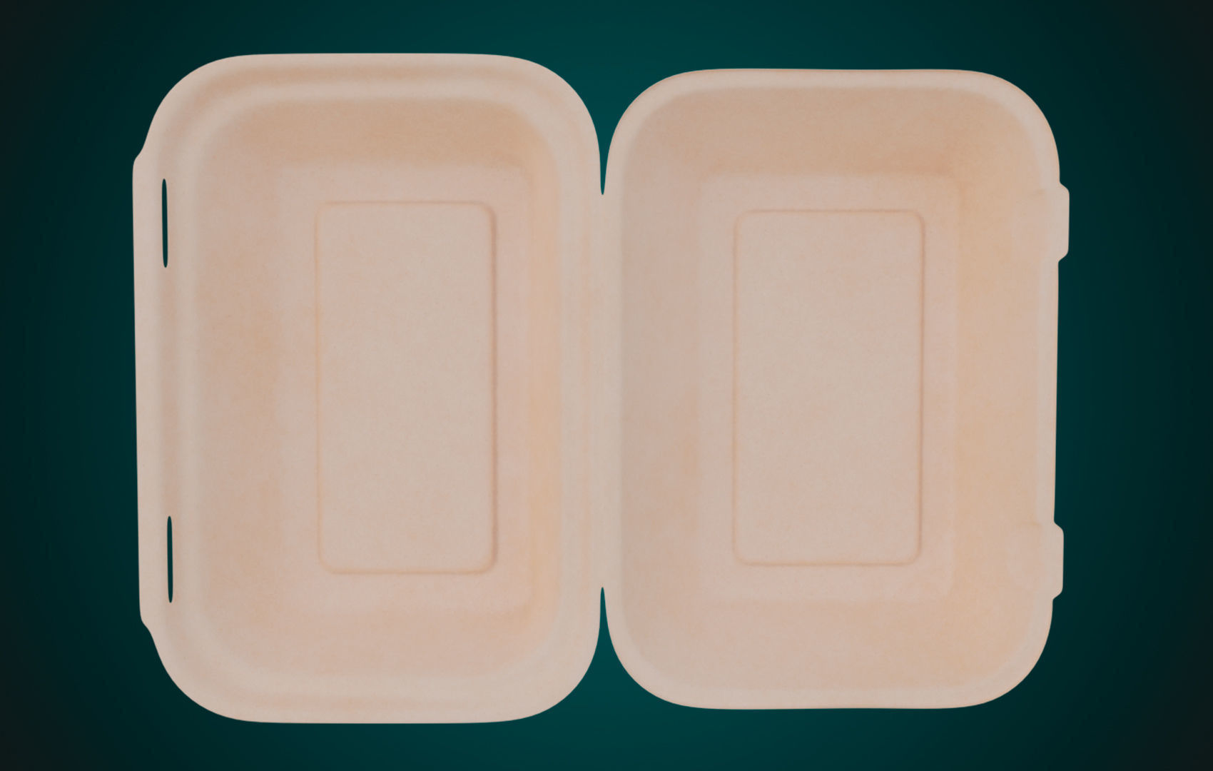 Large Cardboard paper - Disposable Container 3D model_1