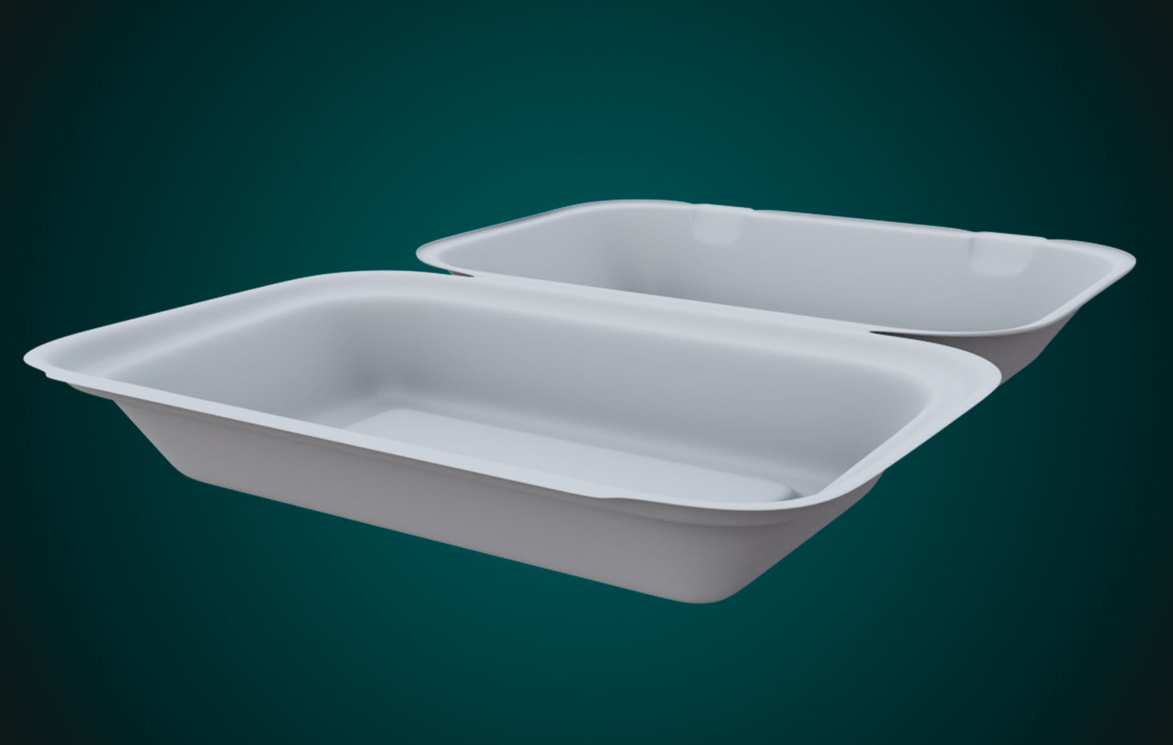 Large Cardboard paper - Disposable Container 3D model_23