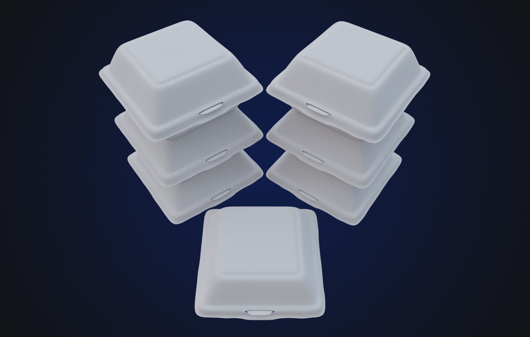 Close Box Disposable - Food styrofoam Container 3D model_10
