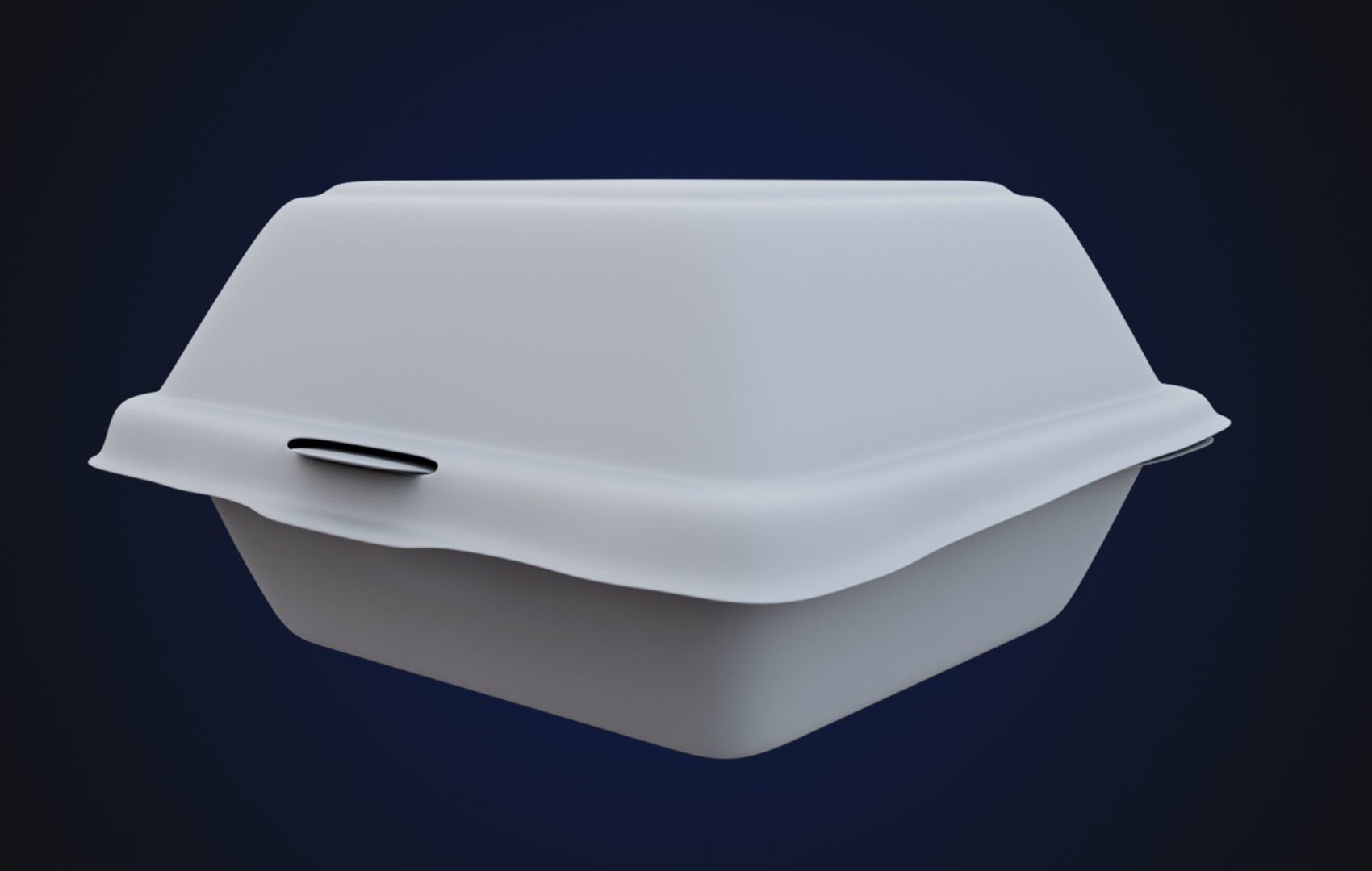 Close Box Disposable - Food styrofoam Container 3D model_25