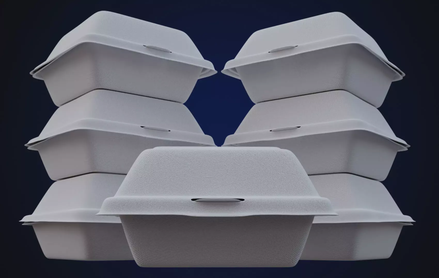 Close Box Disposable - Food styrofoam Container 3D model_0