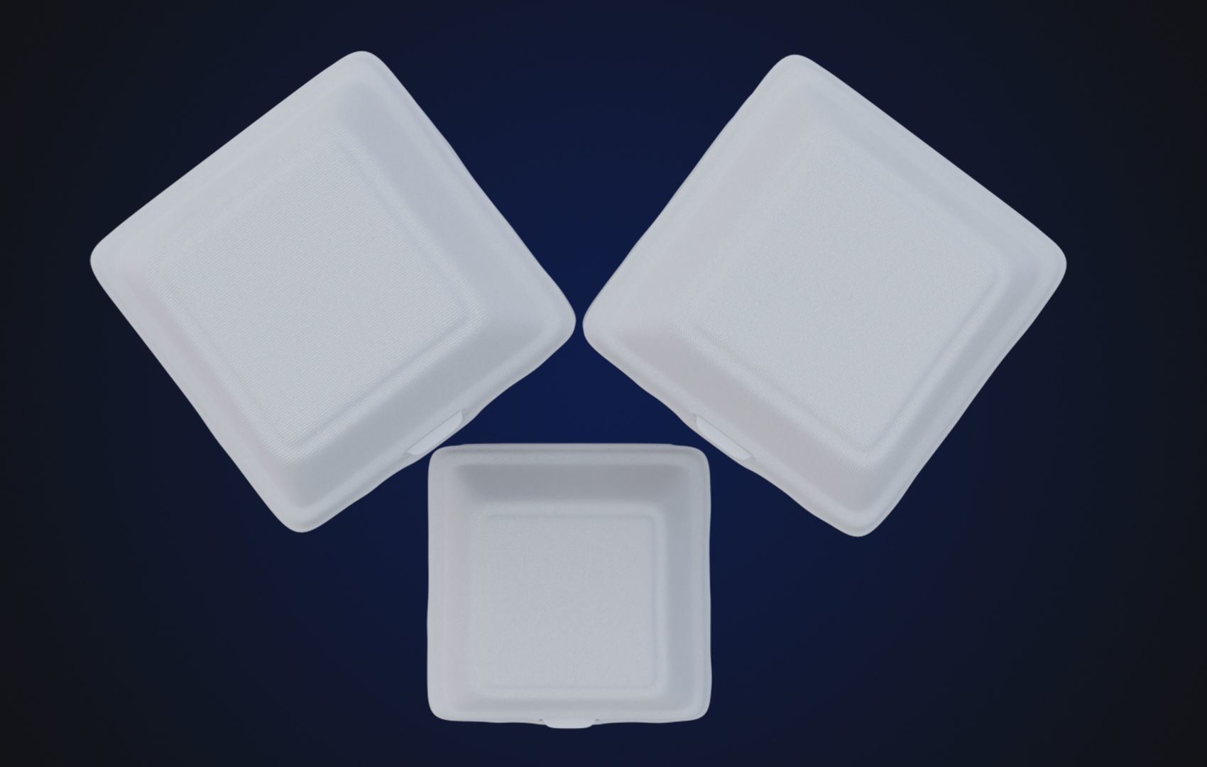 Close Box Disposable - Food styrofoam Container 3D model_28
