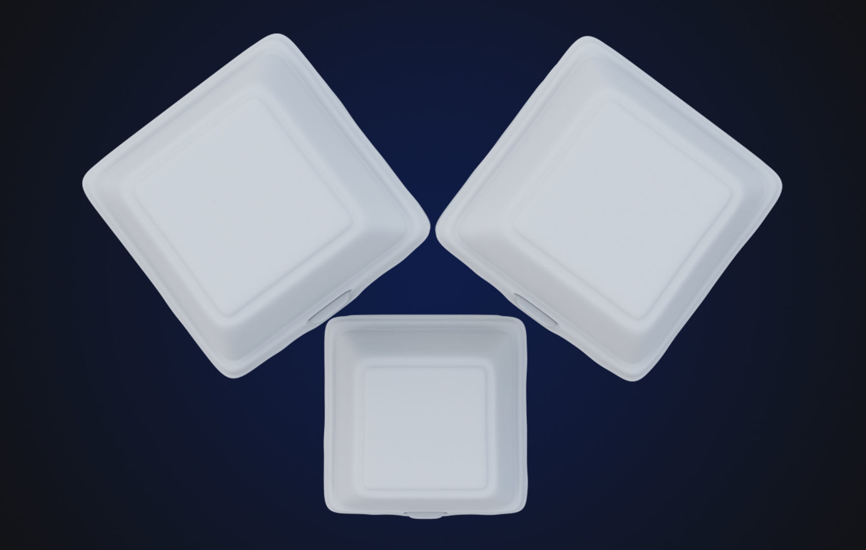 Close Box Disposable - Food styrofoam Container 3D model_19