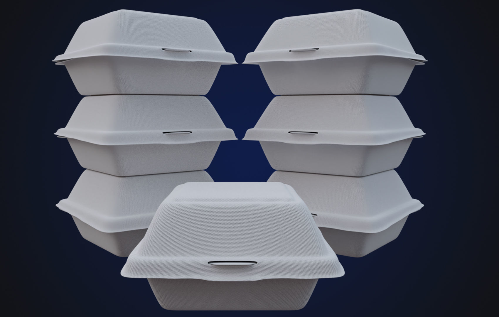 Close Box Disposable - Food styrofoam Container 3D model_2