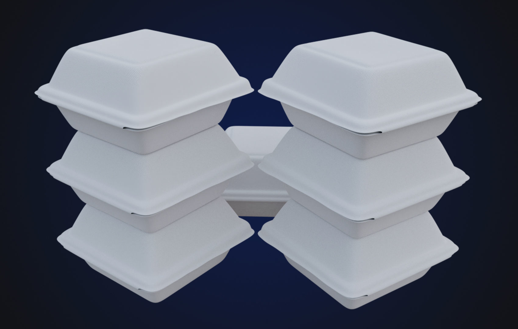 Close Box Disposable - Food styrofoam Container 3D model_18