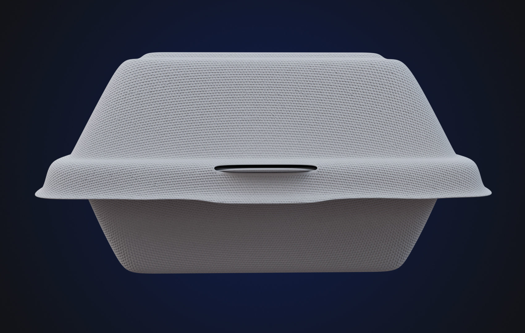 Close Box Disposable - Food styrofoam Container 3D model_3