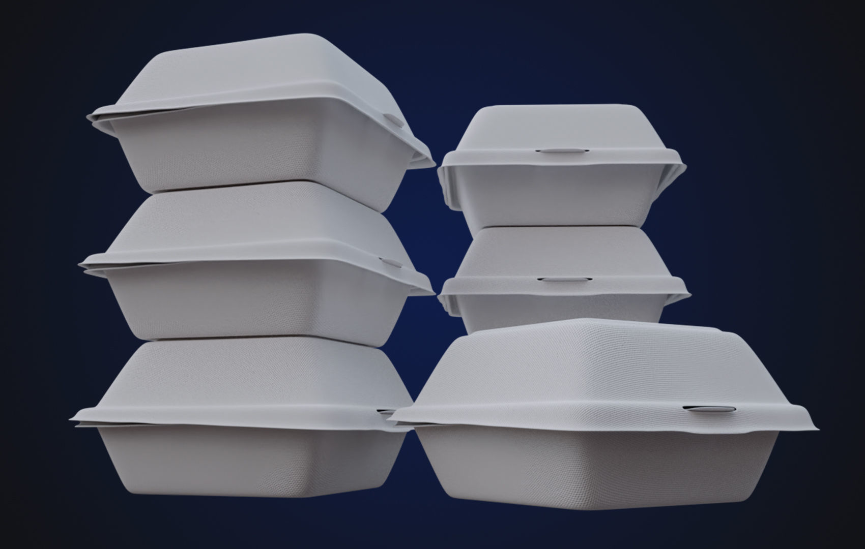 Close Box Disposable - Food styrofoam Container 3D model_14