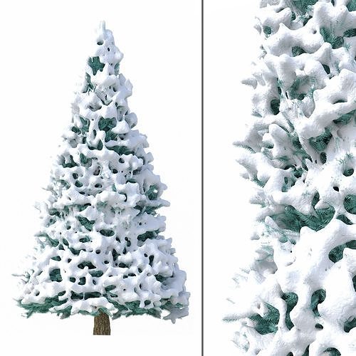 Abies No 2 with Snow 3D model