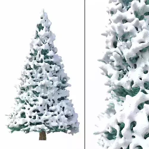 Abies No 2 with Snow 3D model