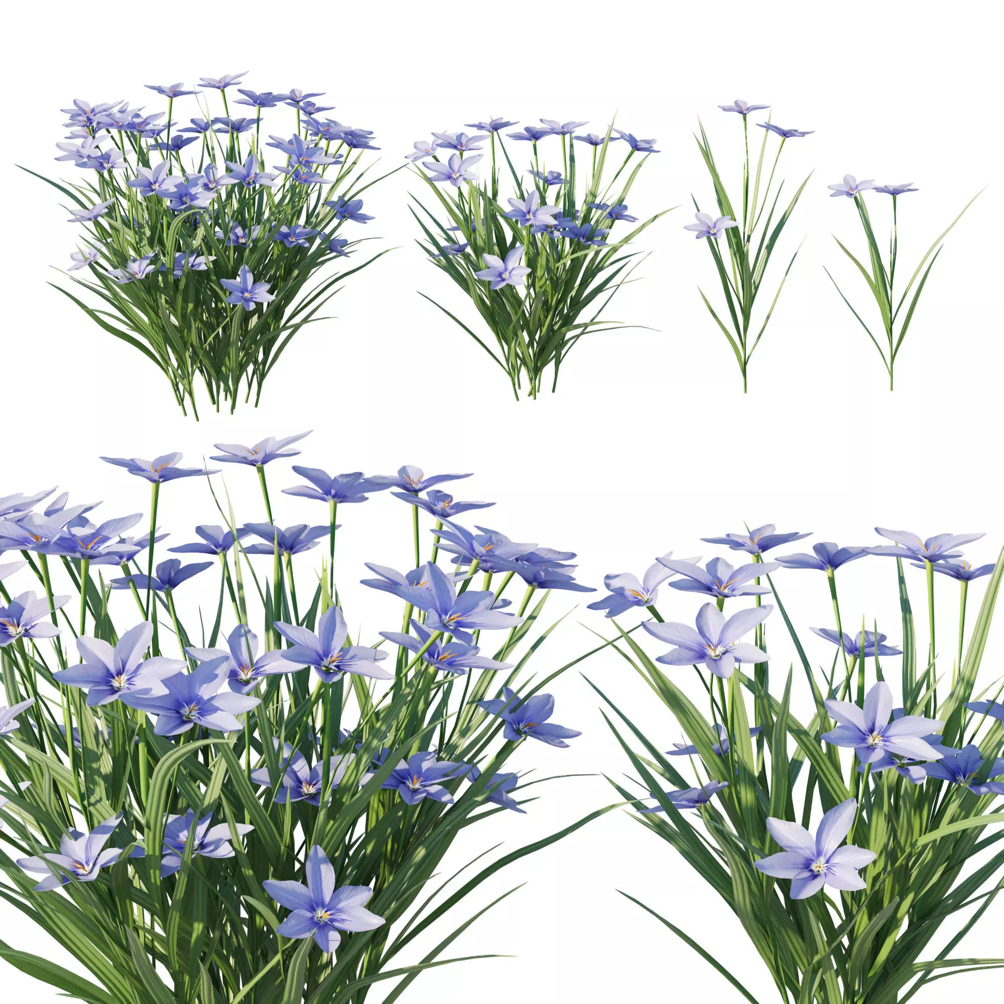 Prairie Celestial 3D model_0