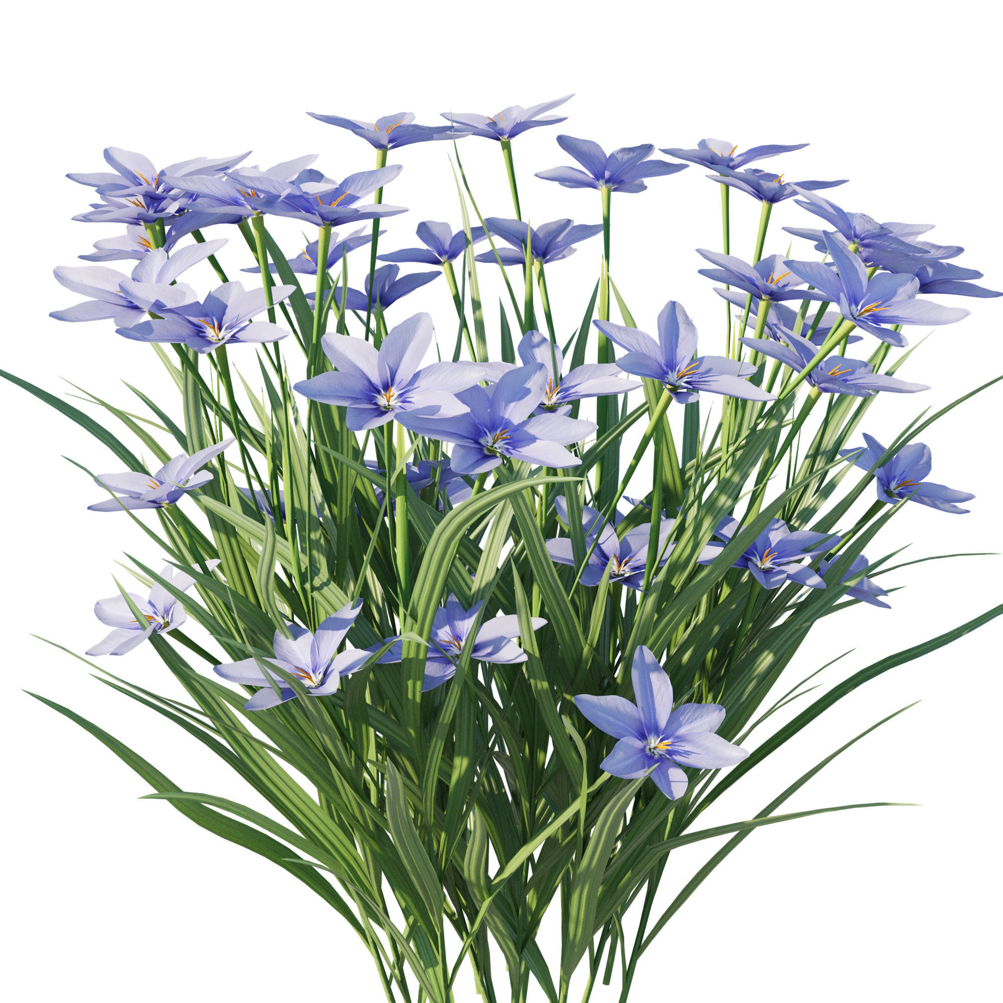 Prairie Celestial 3D model_1