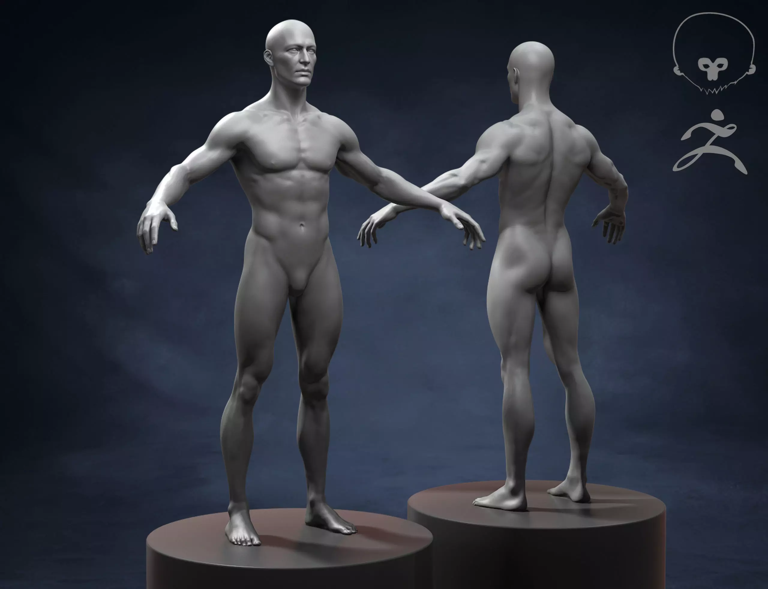 Athletic Man Body Basemesh 3D model