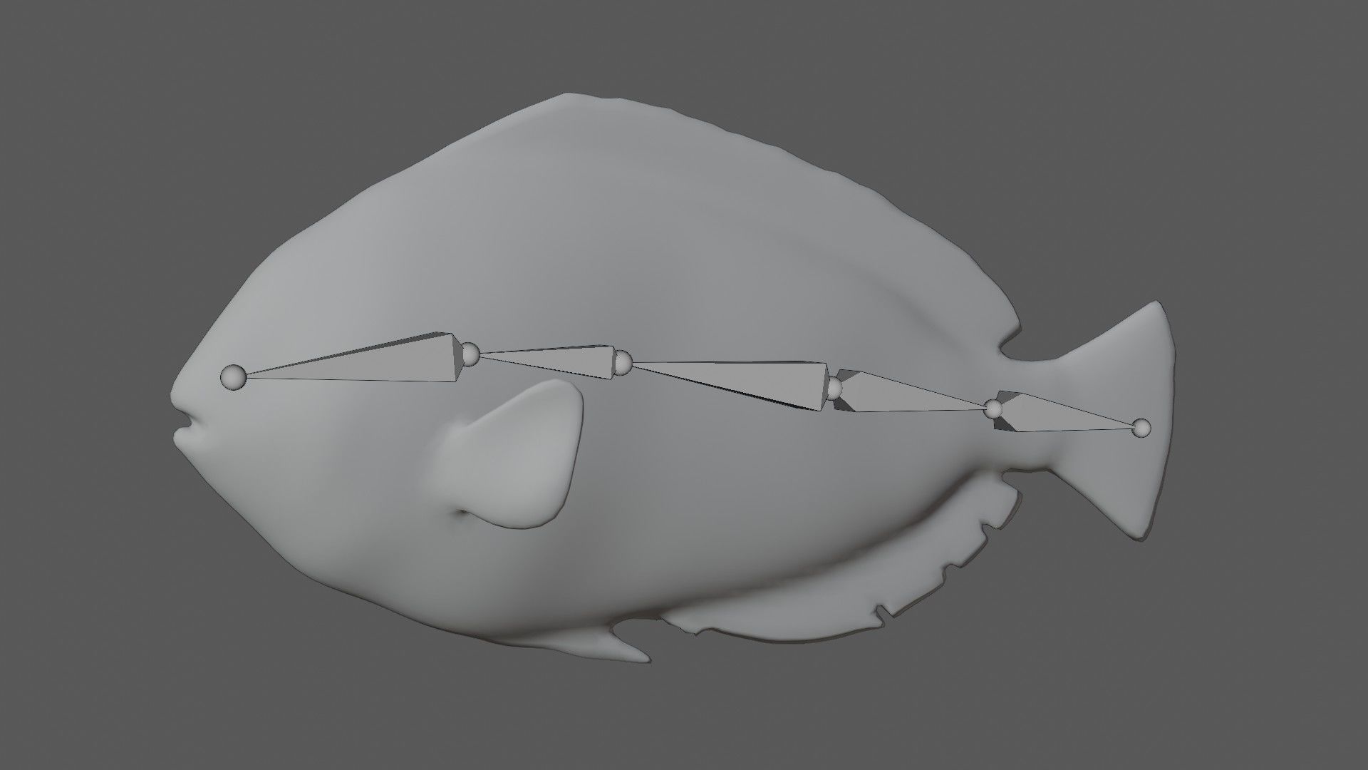 blue tang fish Low-poly 3D model_8