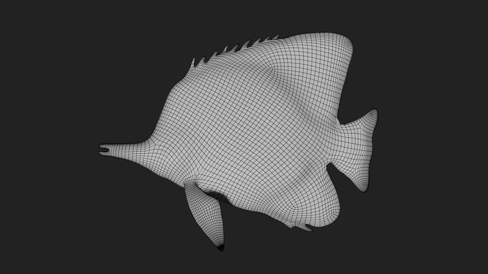 Butterfly fish Low-poly 3D model_8