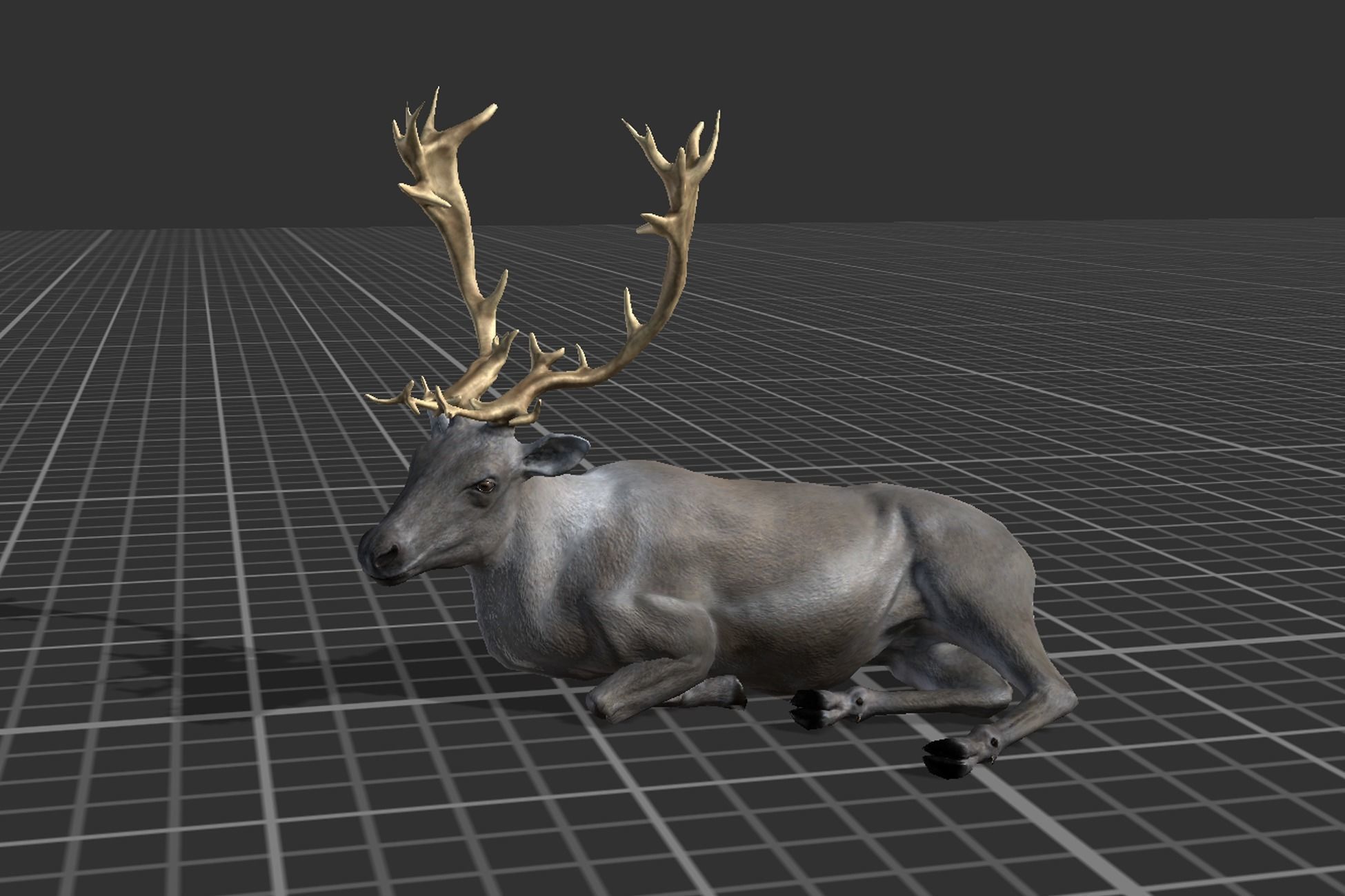 Arctic Animal pack Low-poly 3D model_13