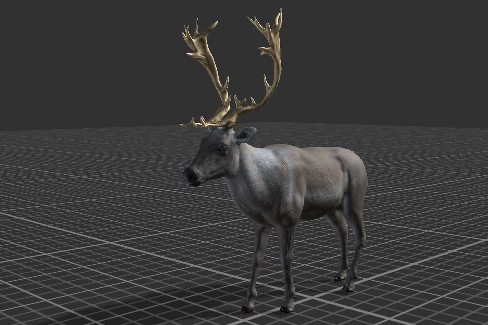 Arctic Animal pack Low-poly 3D model_14