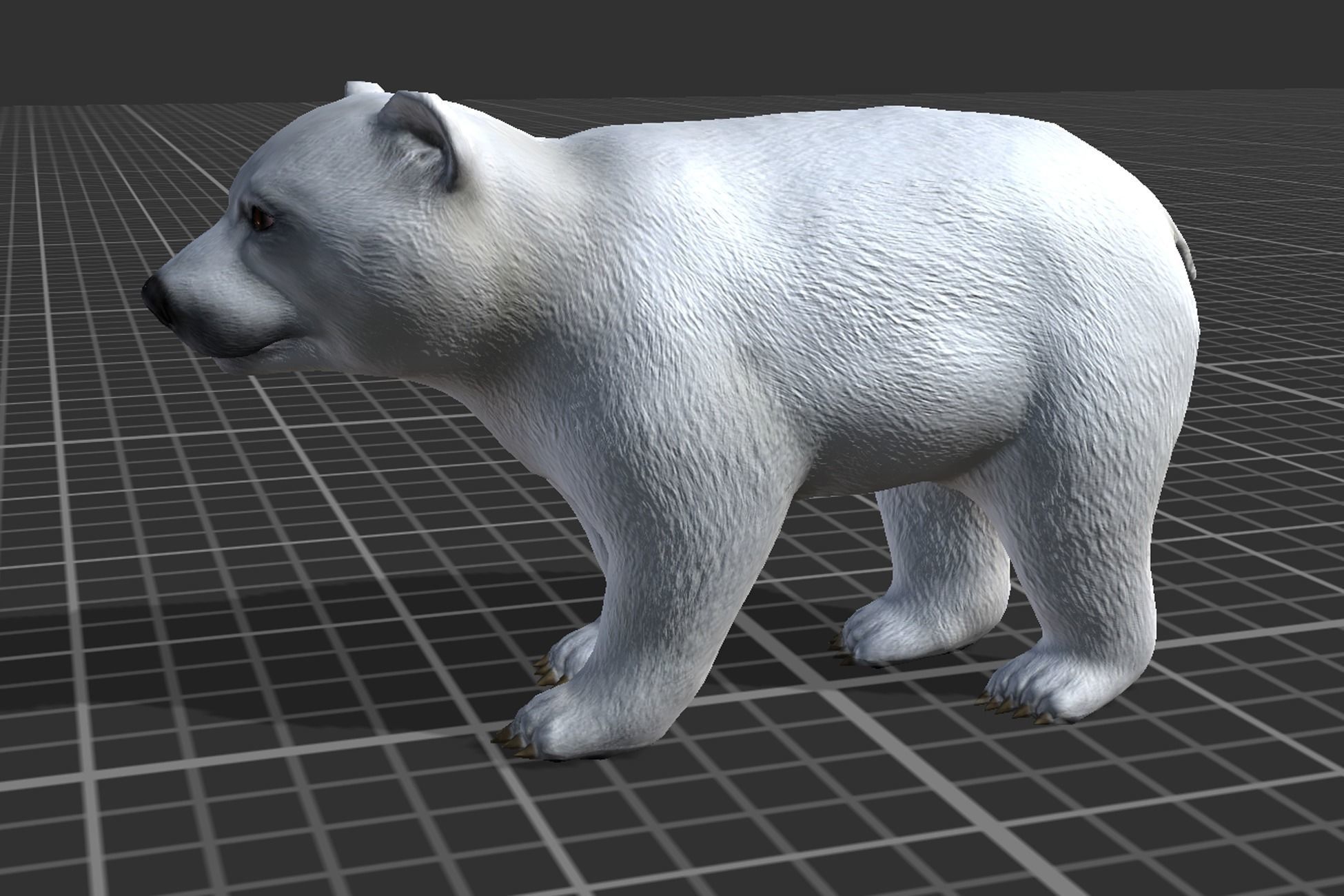 Arctic Animal pack Low-poly 3D model_15