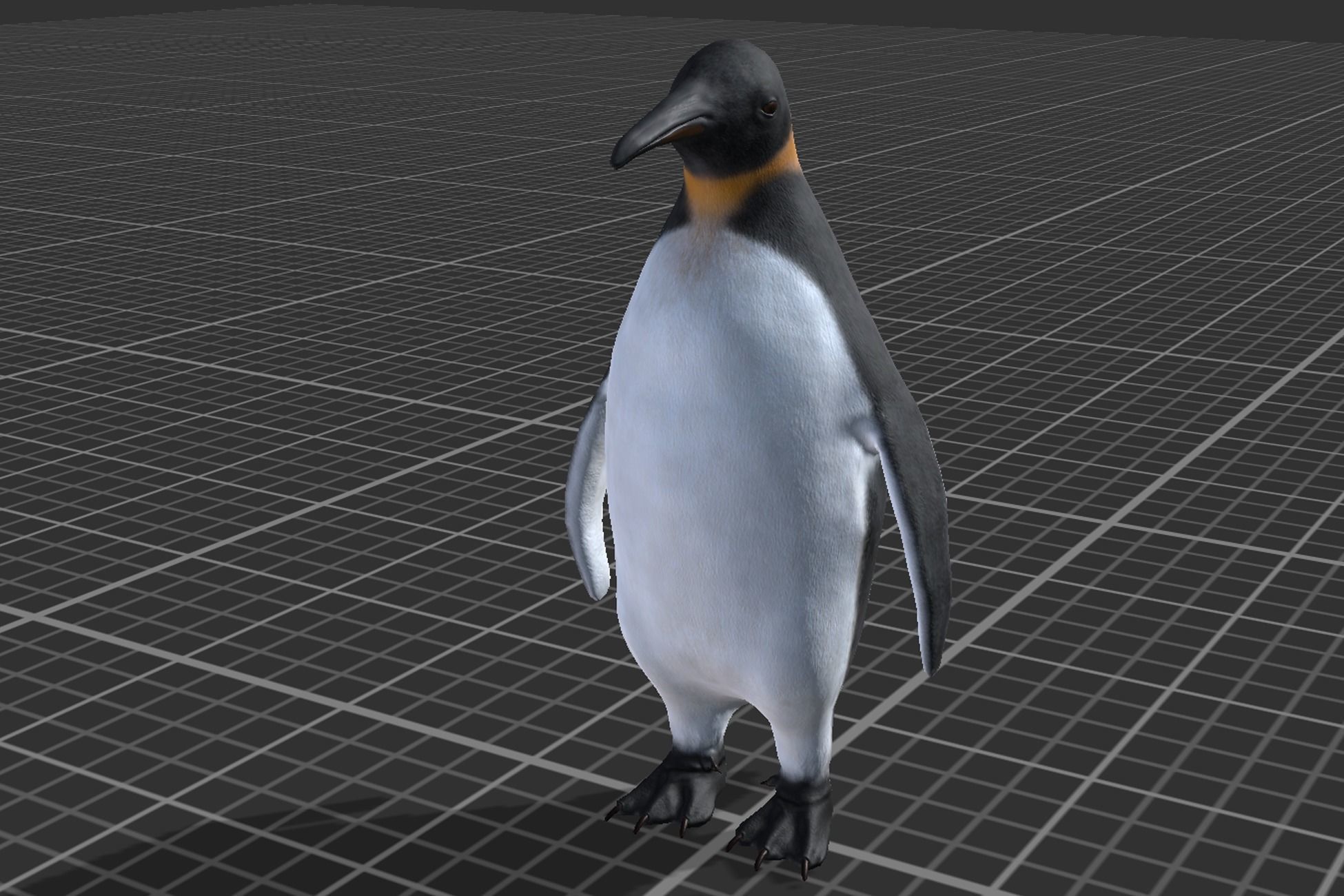 Arctic Animal pack Low-poly 3D model_20