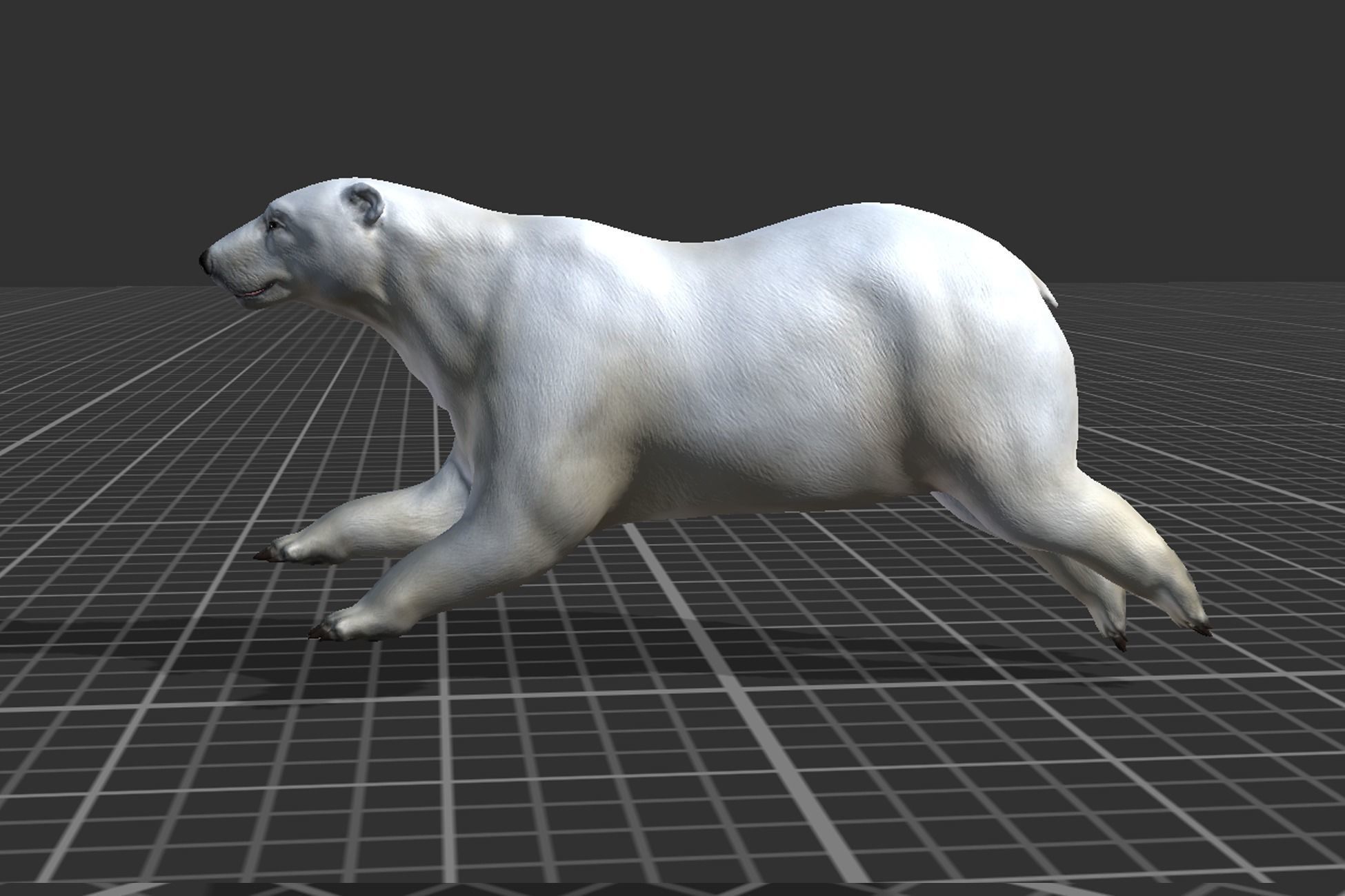 Arctic Animal pack Low-poly 3D model_17