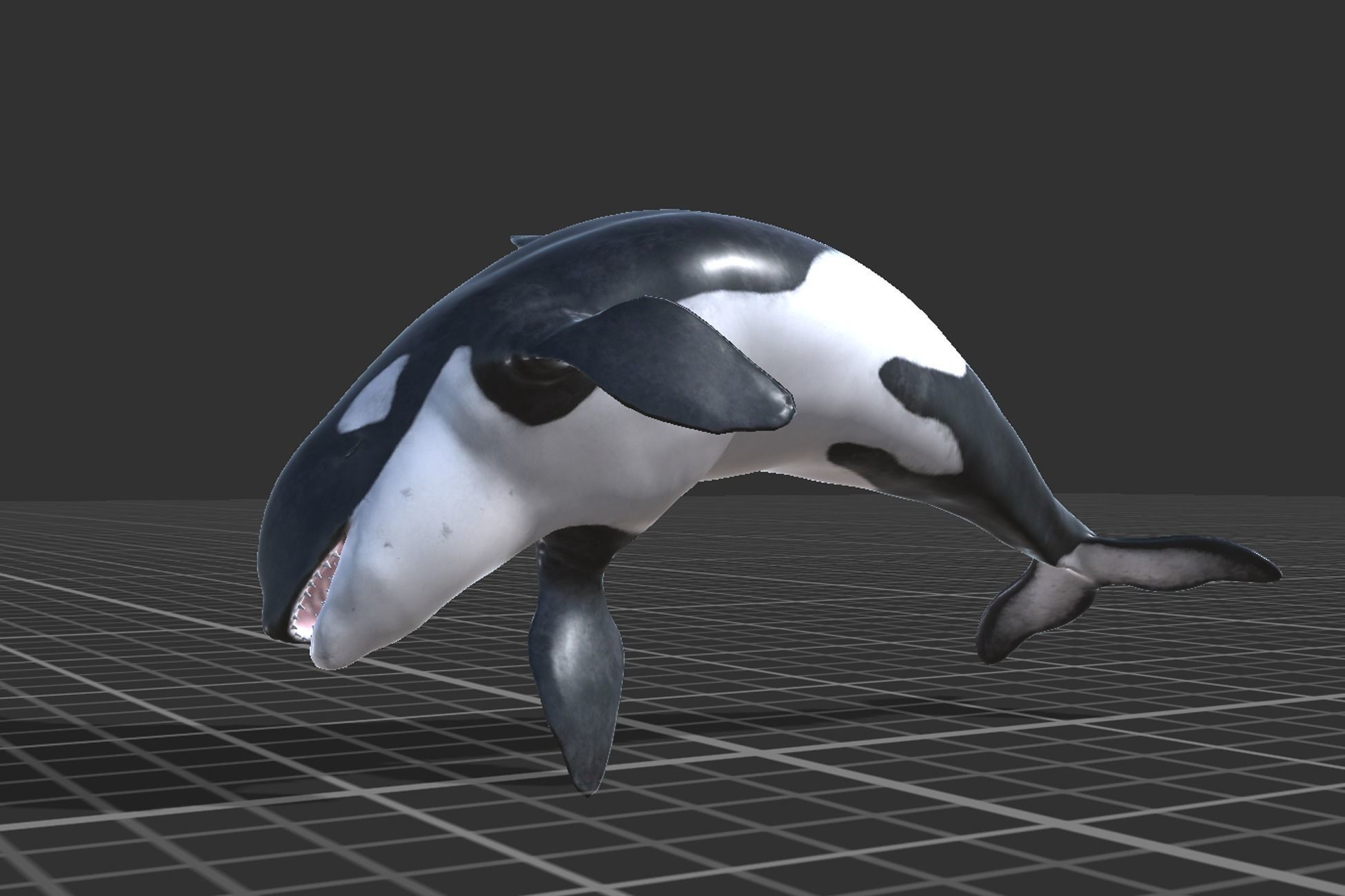 Arctic Animal pack Low-poly 3D model_21