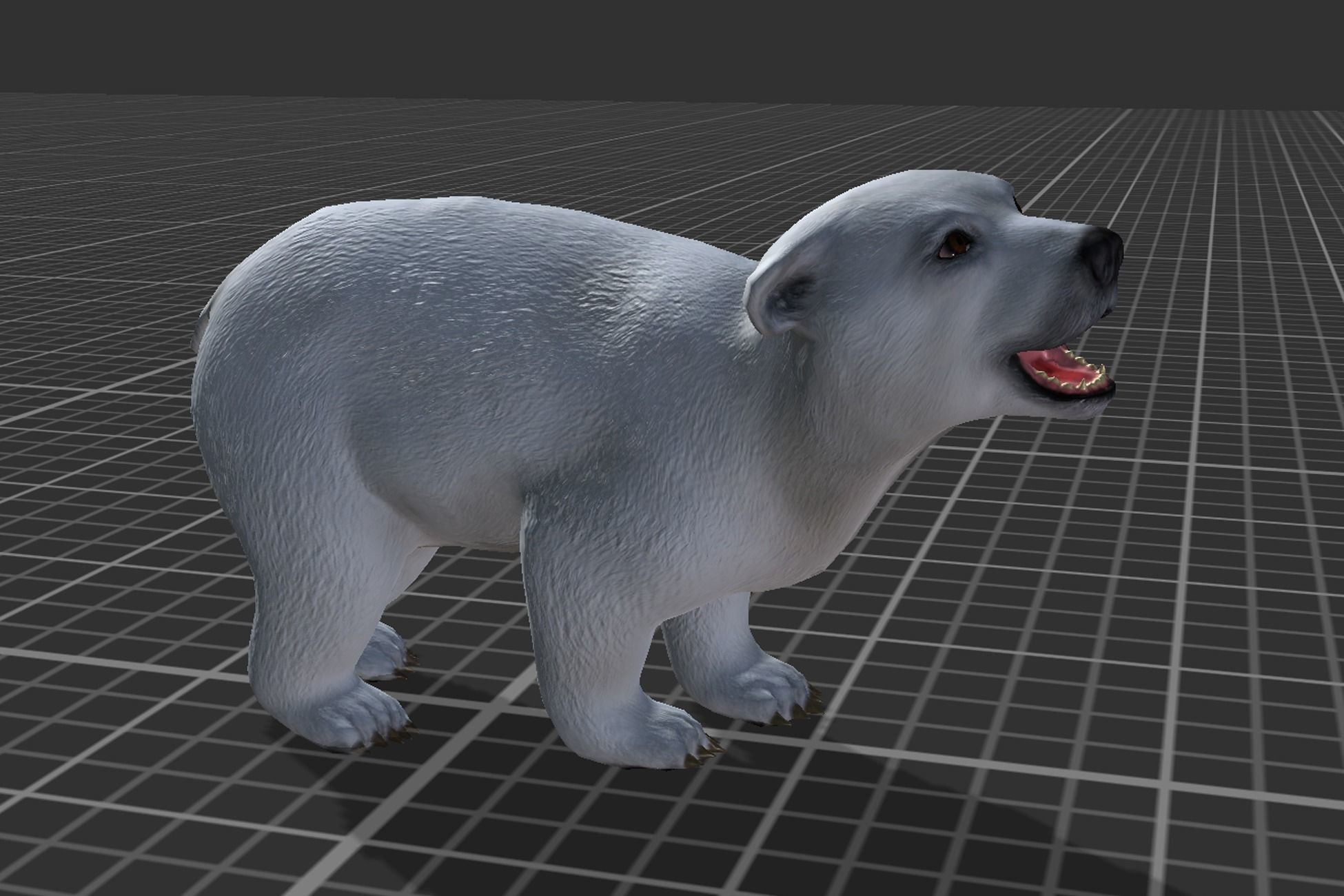 Arctic Animal pack Low-poly 3D model_16