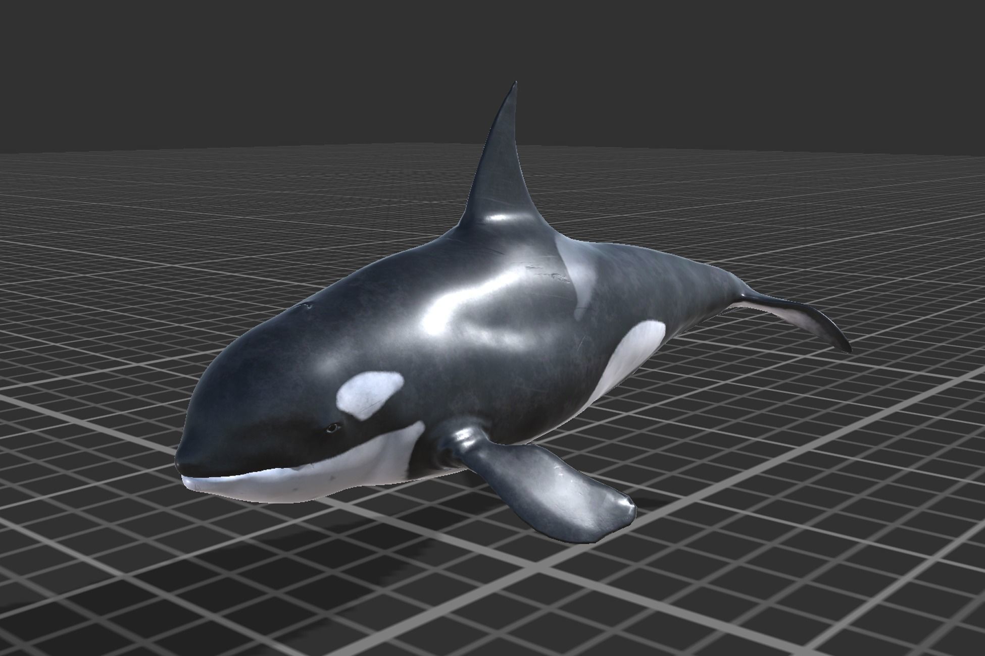 Arctic Animal pack Low-poly 3D model_22