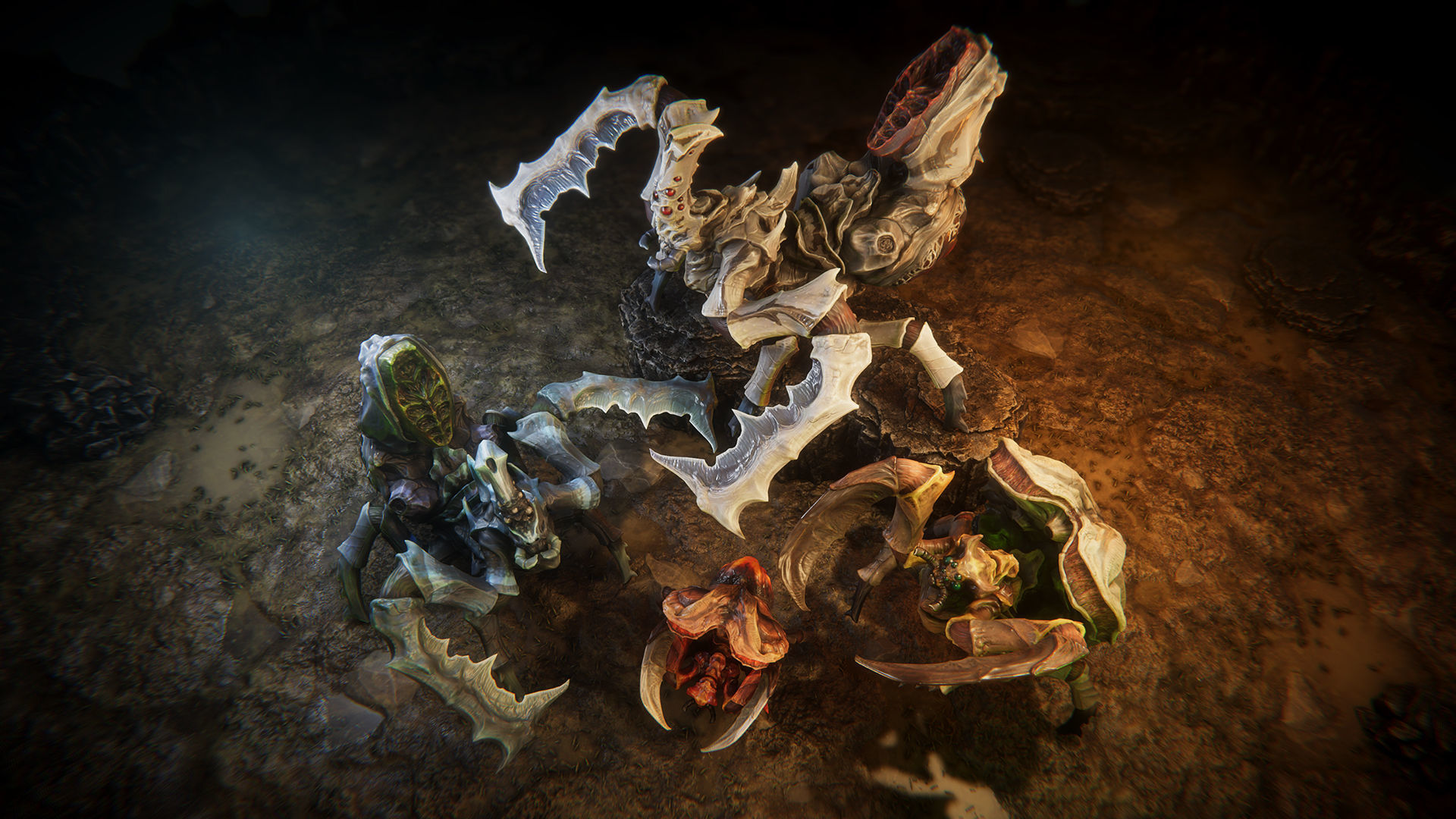 Insect beast Low-poly 3D model_2