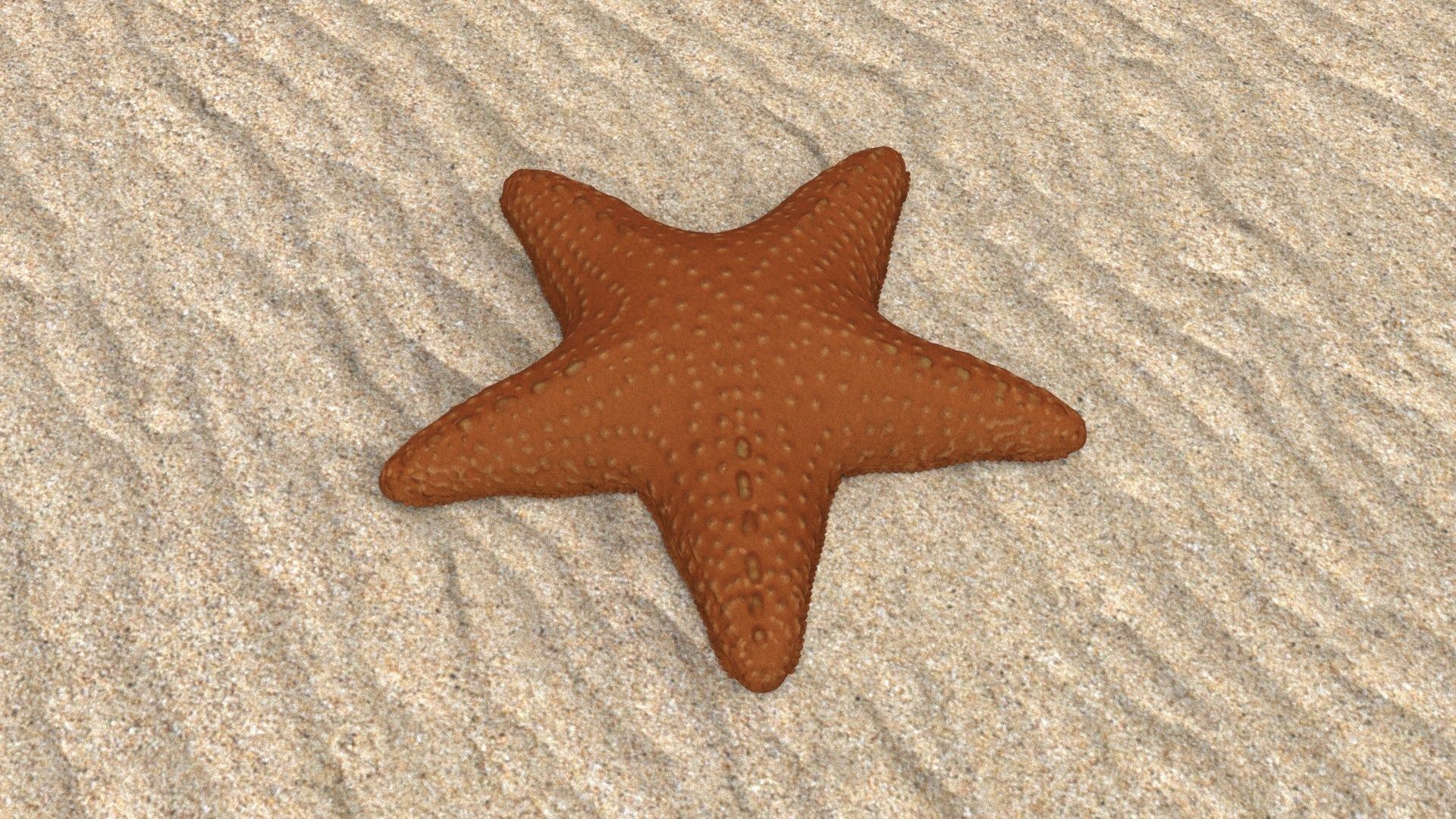 Starfish Low-poly 3D model_1