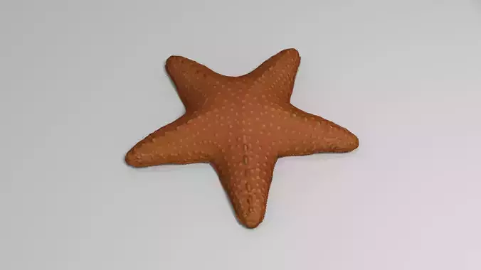 Starfish Low-poly 3D model