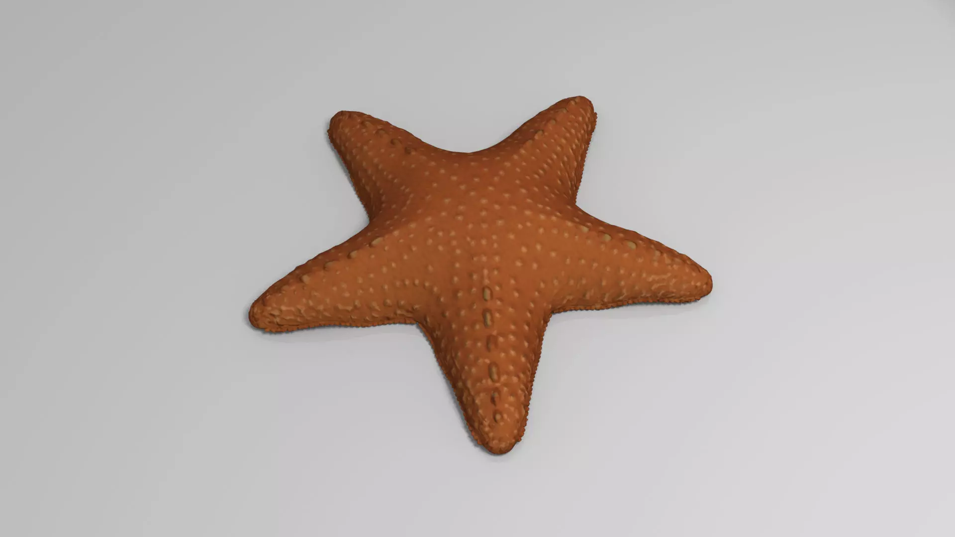 Starfish Low-poly 3D model_0