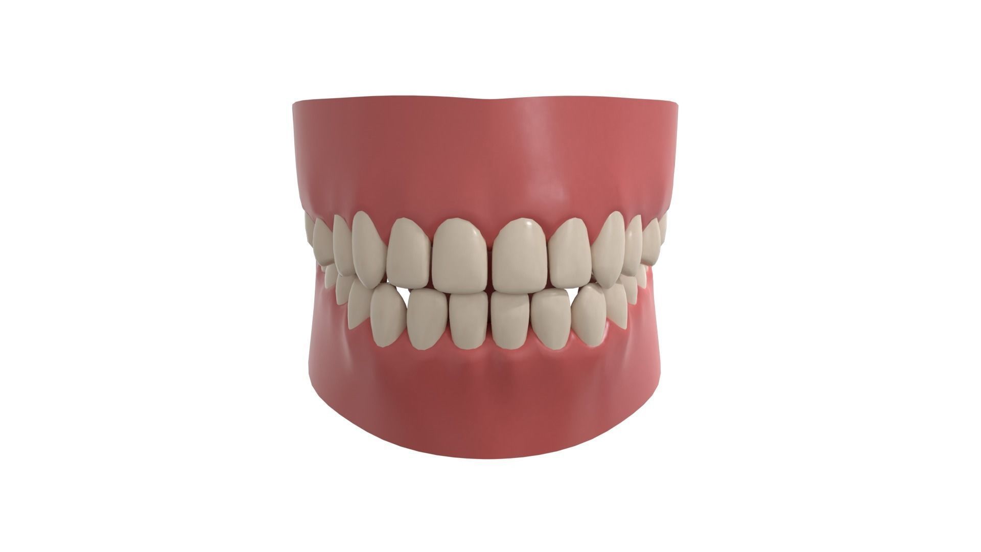 teeth 3D model_2