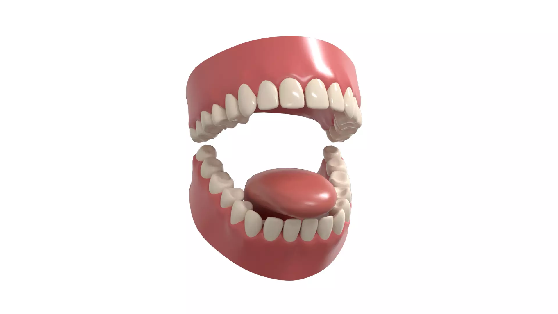 teeth 3D model_0