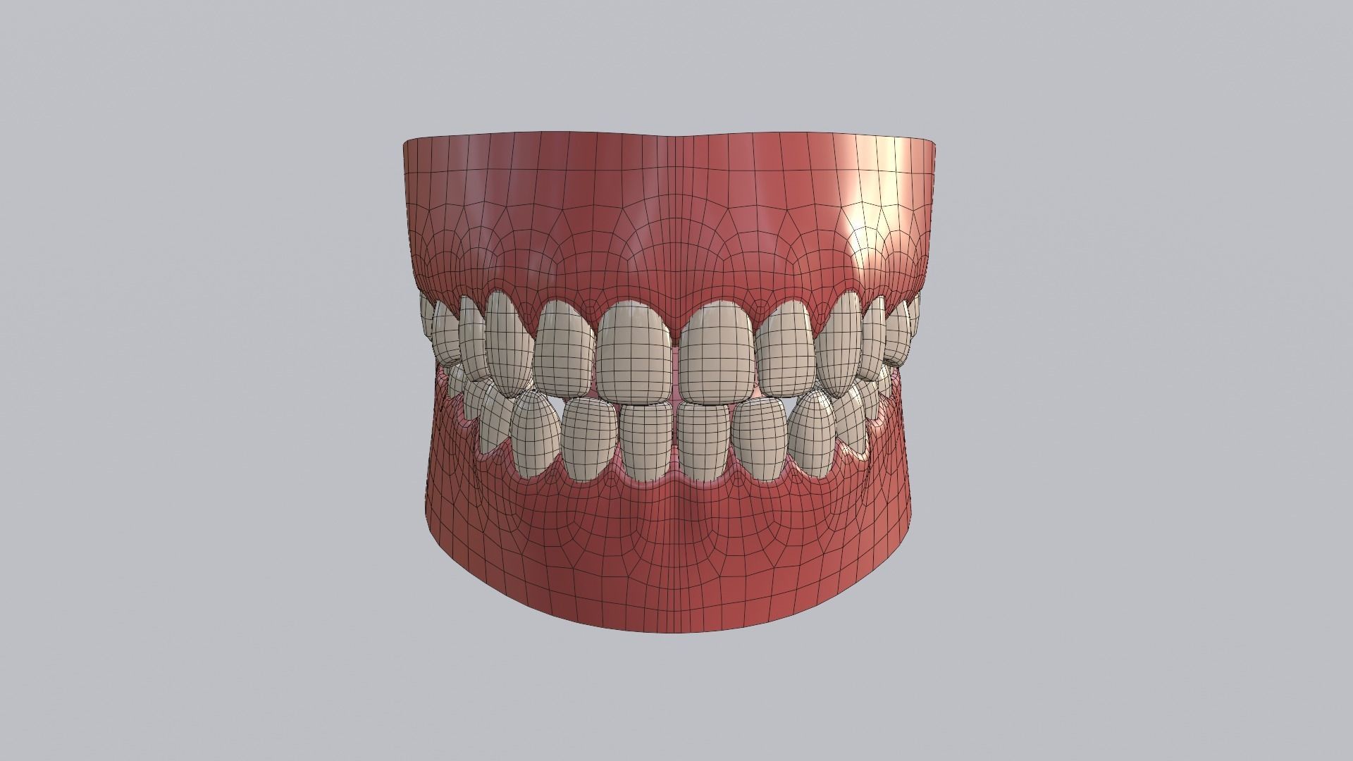teeth 3D model_4