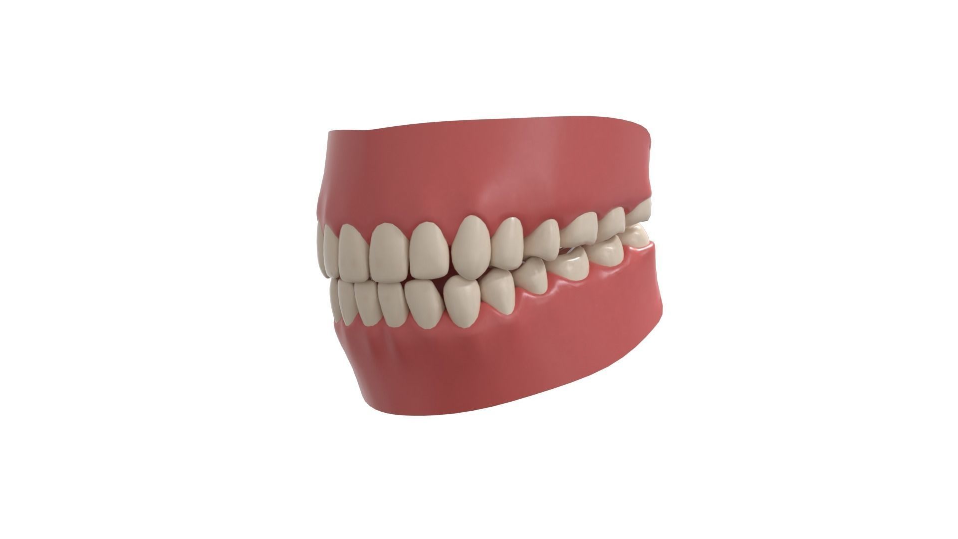 teeth 3D model_1